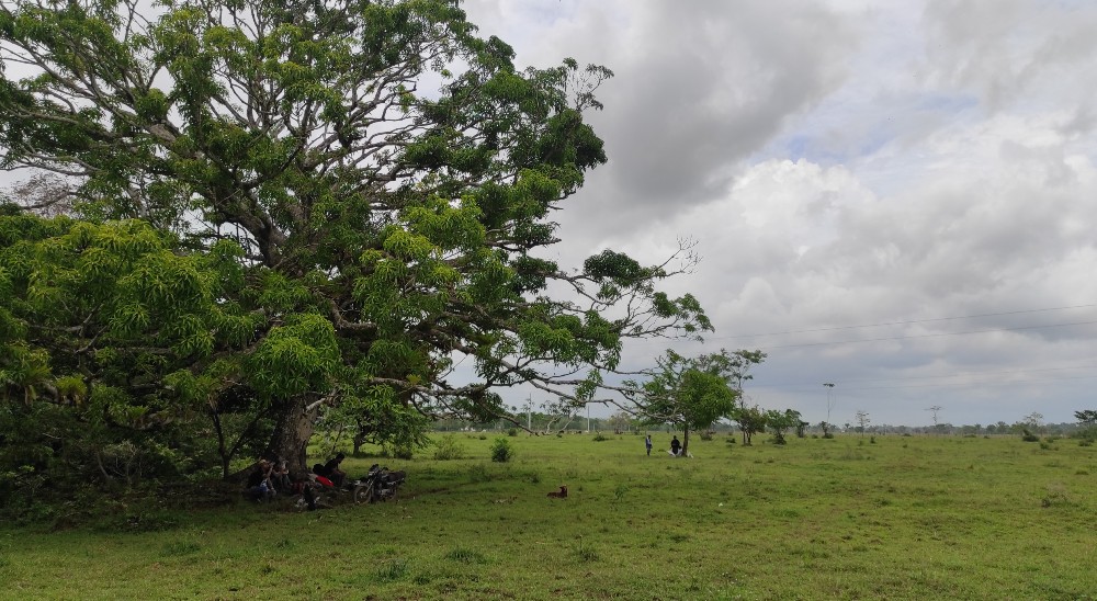 Restitución de Tierras responderá cerca de 100 solicitudes sobre predios despojados y abandonados en Rovira y Prado