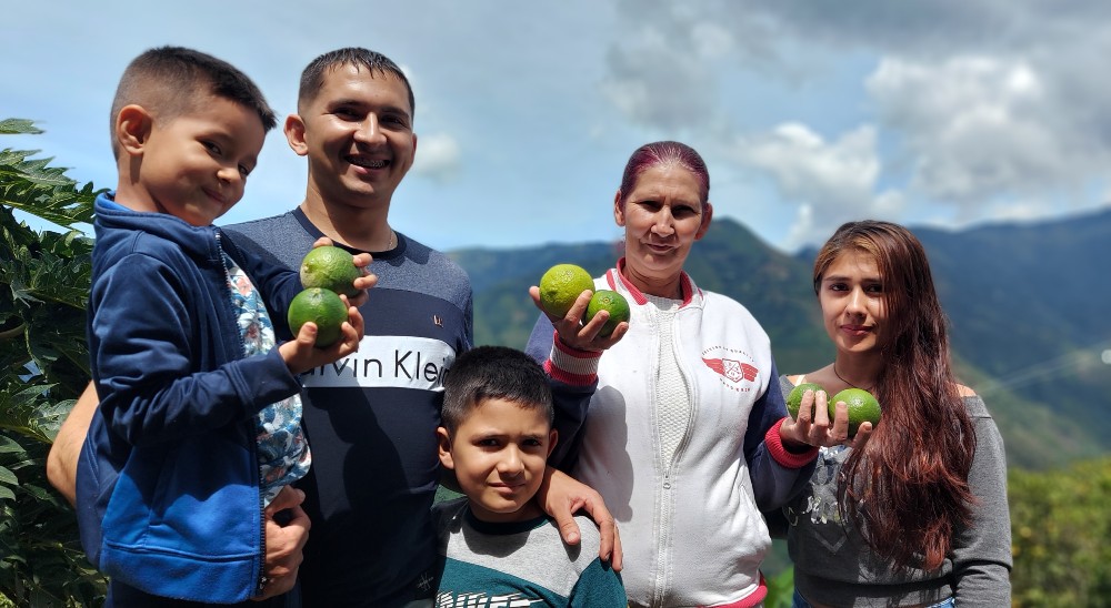 Son 140.000 hectáreas solicitadas a jueces y magistrados en demandas sobre restitución de tierras en Antioquia 