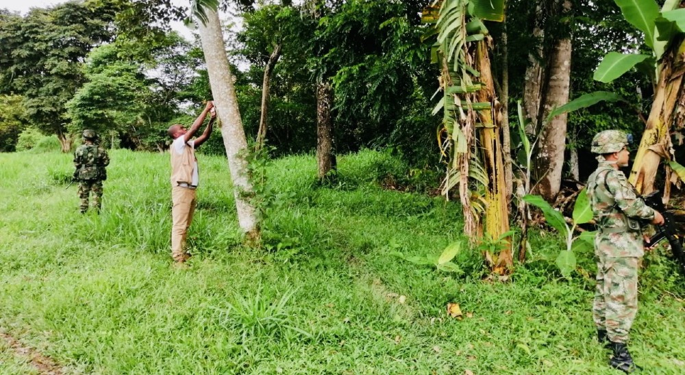  nullTras 18 años de desplazamiento forzado adulto mayor será compensado por predio abandonado en Puerto Lleras 