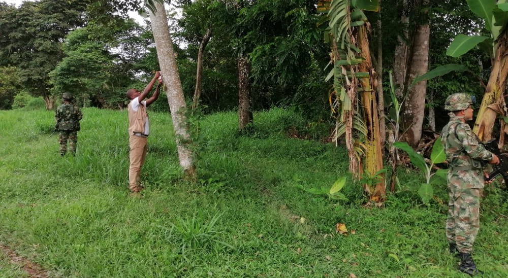 Después de 17 años de desplazamiento forzado familia recupera sus predios abandonados en Lejanías, Meta 