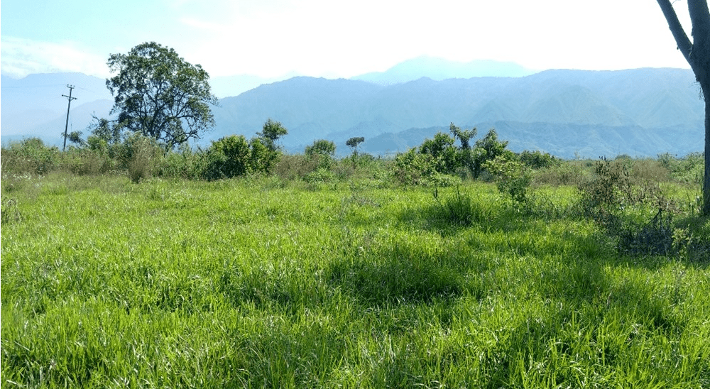 Juez Primero de Restitución de Tierras de Quibdó decretó medida cautelar que protege 586 familias indígenas Wounaan en Chocó 