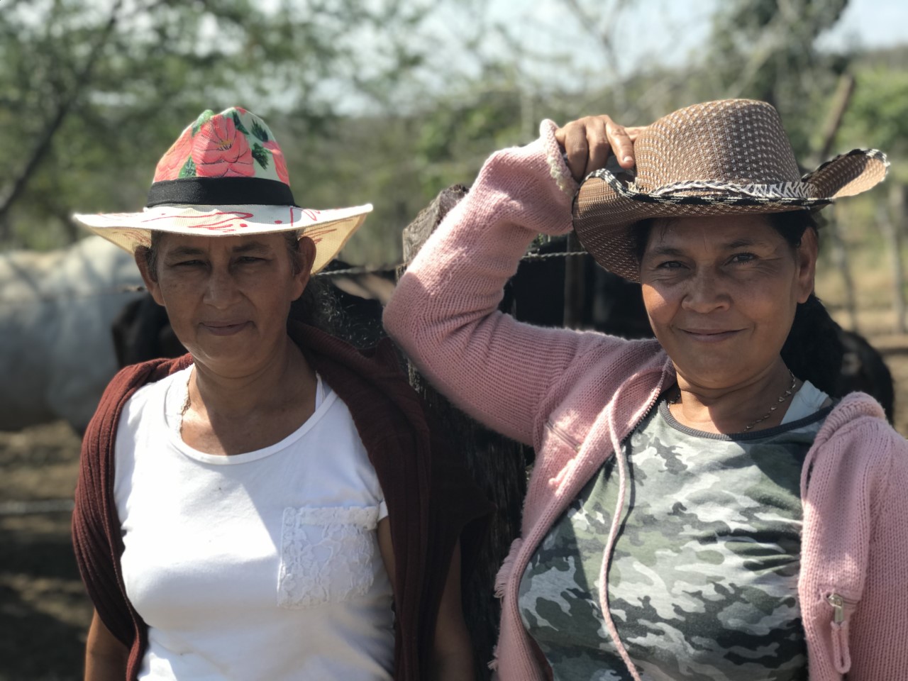 La Dirección Territorial de la Unidad de Restitución de Tierras para los departamentos de Bolívar y Sucre renovó sus pilares institucionales y logró que 1.050 familias víctimas de despojo y abandono forzado de tierras recuperarán sus propiedades.