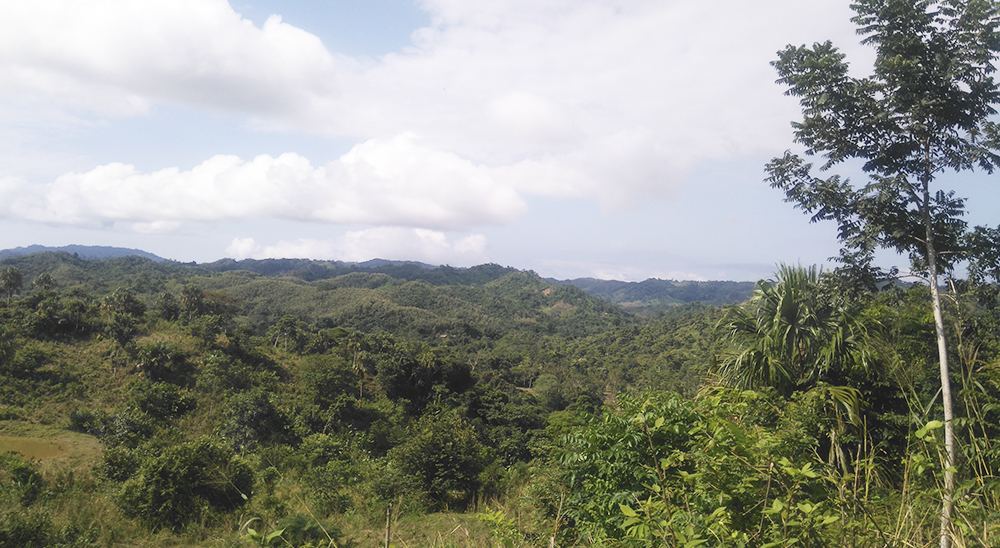 Caquetá define hoja de ruta con la Fuerza Pública para avanzar en labores de restitución en 2021