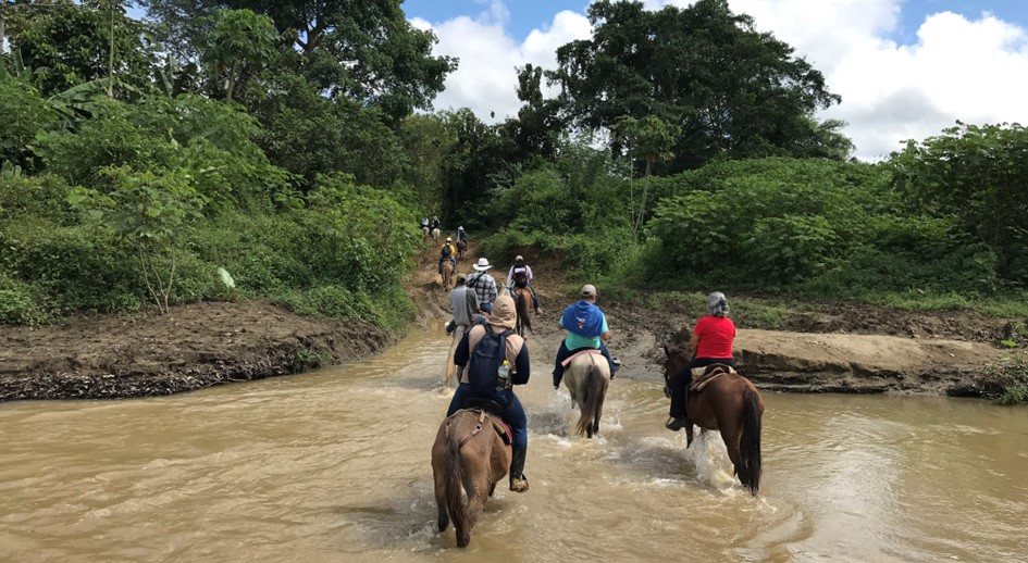 Fallo ordena a empresa del grupo Argos devolver 490 hectáreas a víctimas de despojo en San Onofre, Sucre