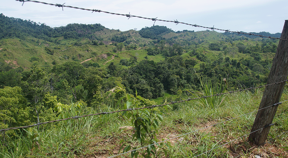  nullFamilia desplazada de Betulia, Santander, será compensada por la Unidad de Restitución de Tierras (URT) 
