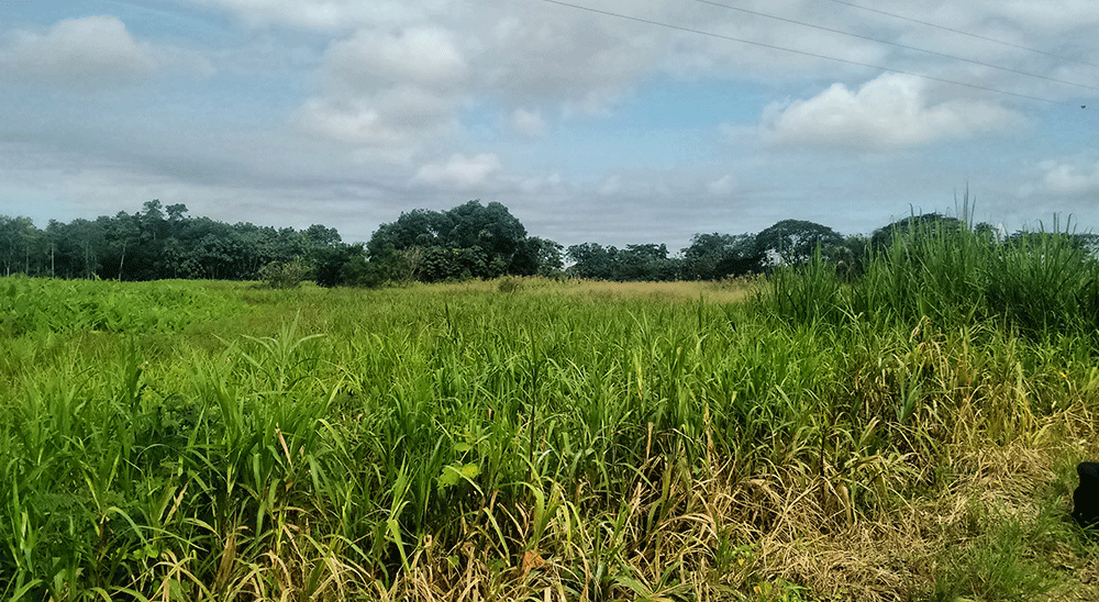 URT trabajará en más municipios del Magdalena Medio 