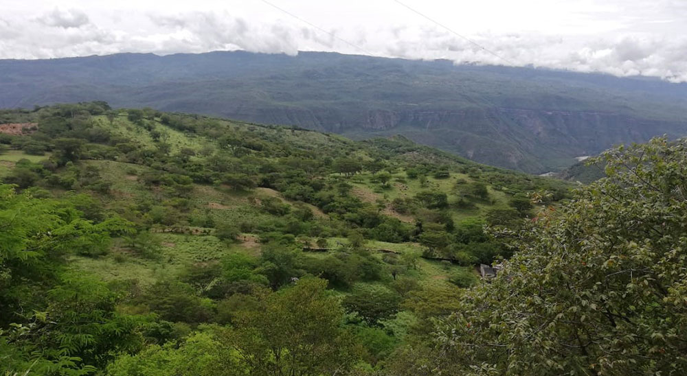 Ordenan compensación para familia de Girón (Santander) que fue víctima de los paramilitares 