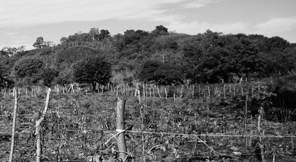 La Unidad de Restitución de Tierras se une a las voces de rechazo por las muertes violentas de líderes sociales en el país