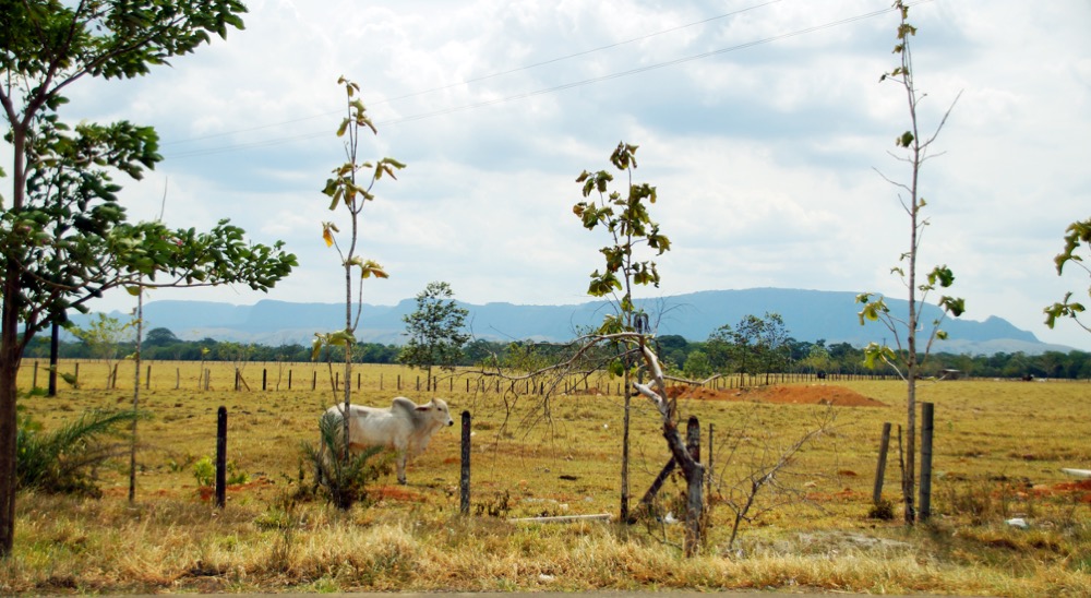 Al corregimiento de Alto de Mulatos en Turbo, Antioquia, llegará la URT para responder a solicitudes de reclamantes de tierras