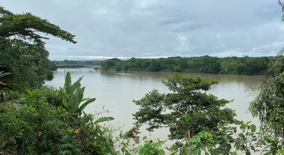 Juez de restitución de tierras de Quibdó admite demandas que buscan restablecer más de 26 mil hectáreas a favor de comunidades indígenas del Chocó