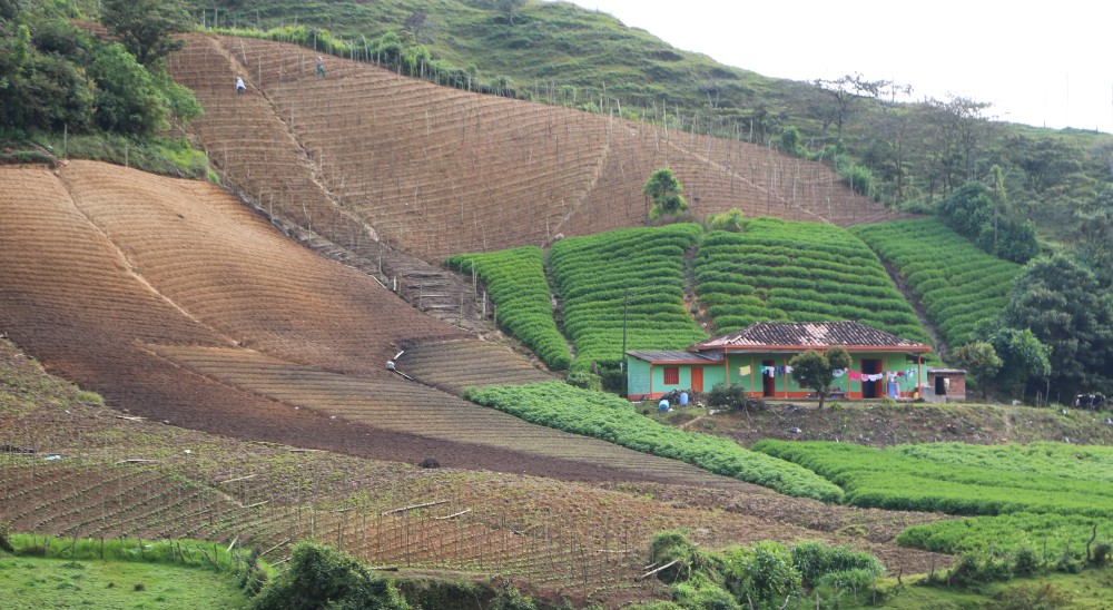 1.515.298 hectáreas fueron solicitadas en restitución en los primeros meses de Gobierno del presidente Gustavo Petro