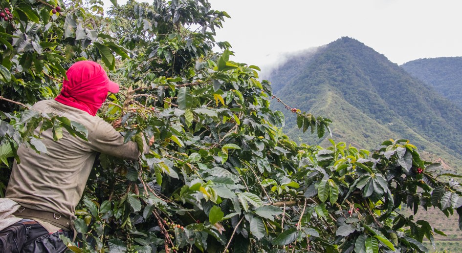 La URT Antioquia hace un balance de su gestión tras cumplirse doce años de la Ley 1448 de 2011