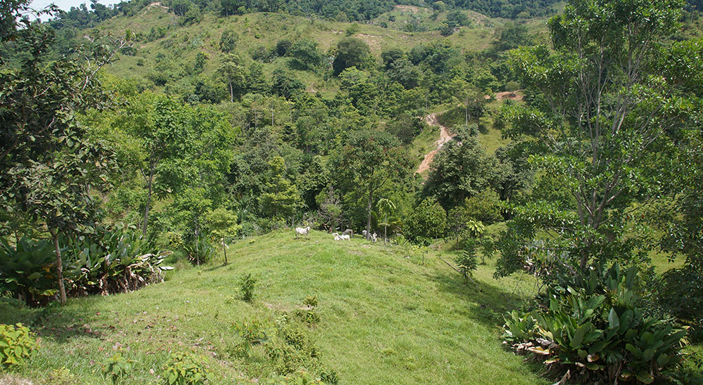 Jueces de restitución fallaron la primera sentencia que beneficia a una familia de Zapatoca (Santander) 