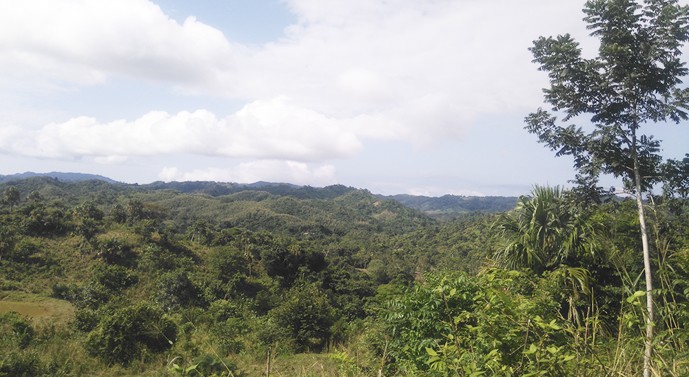 Por solicitud de la Unidad de Restitución de Tierras la justicia decreta medida cautelar a favor de la Comunidad Misak del Resguardo Indígena ‘El Águila’ en Caquetá 