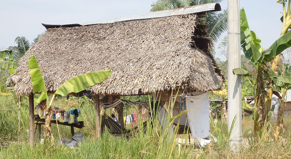 La Unidad de Restitución de Tierras presentó las primeras dos demandas étnicas del pueblo Makaguán en Arauca