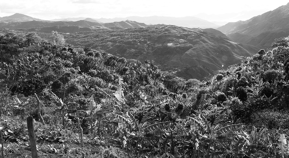  nullCOMUNICADO A LA OPINIÓN PÚBLICA ATENTADO A DILIGENCIA JUDICIAL DEL PROCESO DE RESTITUCIÓN DE TIERRAS EN BUGALAGRANDE, VALLE DEL CAUCA 