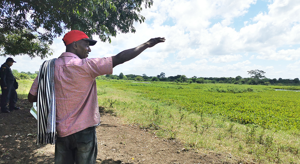 Se cumple diligencia judicial de entrega material de predios ubicados en la vereda Oceanía en los municipios de Chibolo y Sabanas de San Ángel 