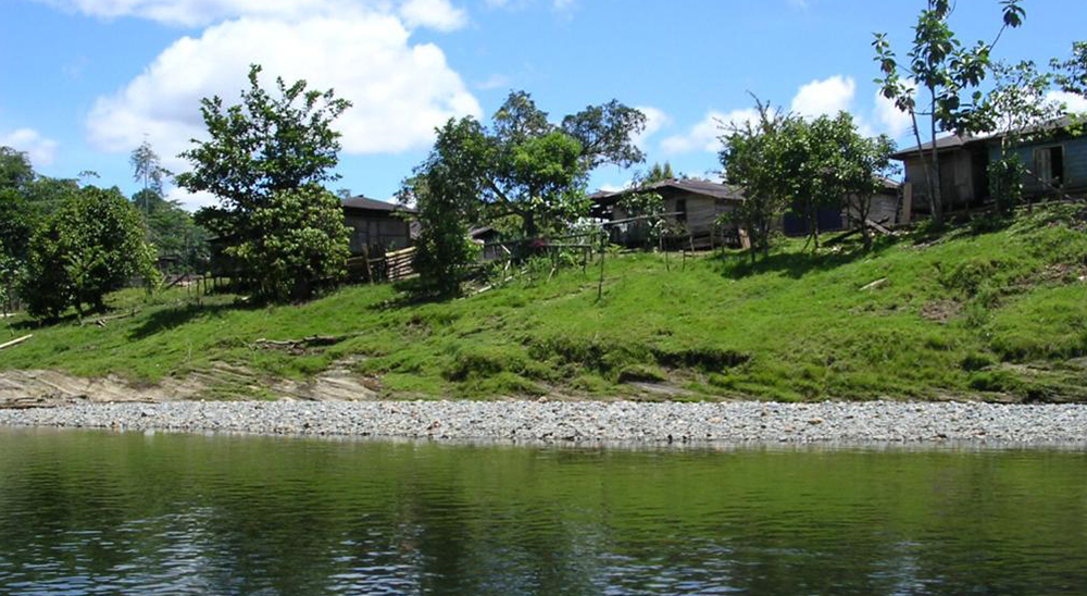 Ordenan la restitución de 73 mil hectáreas a familias afrodescendientes en el Chocó 