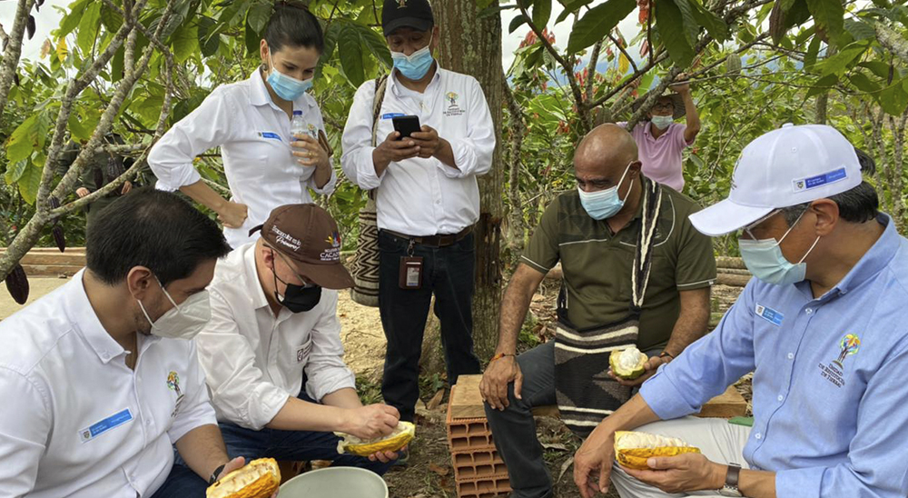 Unidad de Restitución de Tierras y Fedecacao destacan liderazgo de mujeres cultivadoras del grano