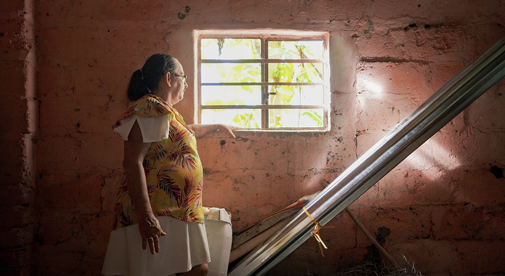 Una mujer palmera que regresó al Cesar 