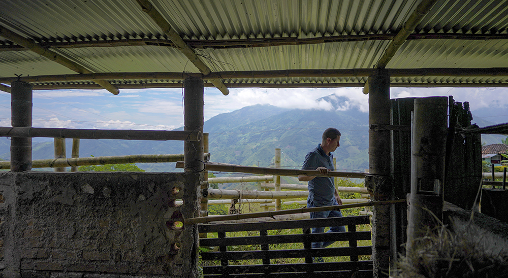 En Anserma, Caldas la violencia no mató “La Esperanza” 