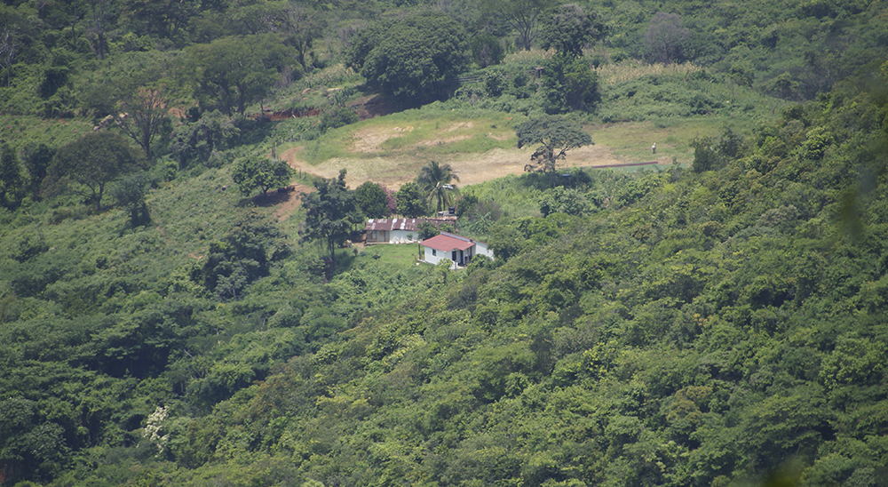 Tras la muerte de su esposo y el desplazamiento de su tierra, una mujer y sus hijos serán restituidos en zona rural de Cúcuta 