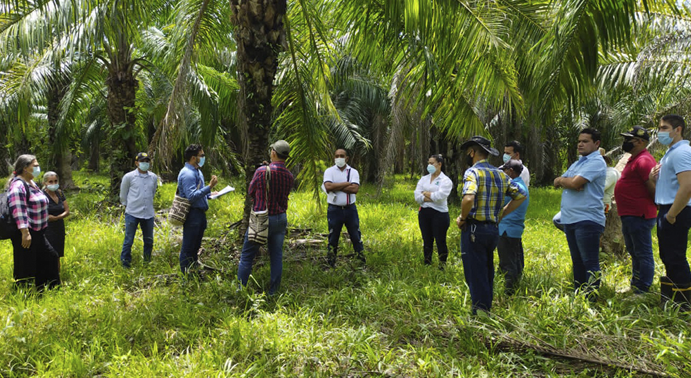Siete familias campesinas regresaron a sus tierras en el departamento del Cesar 