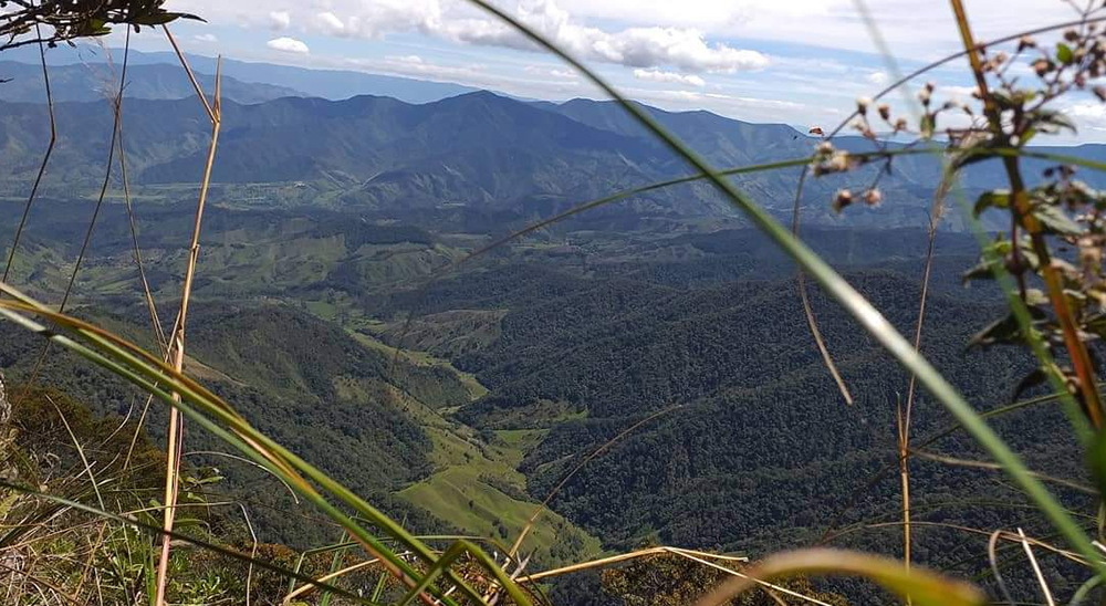 ‘Loma Linda’ la tierra que recupera mujer cabeza de hogar tras ser desplazada por la violencia en el occidente de Antioquia