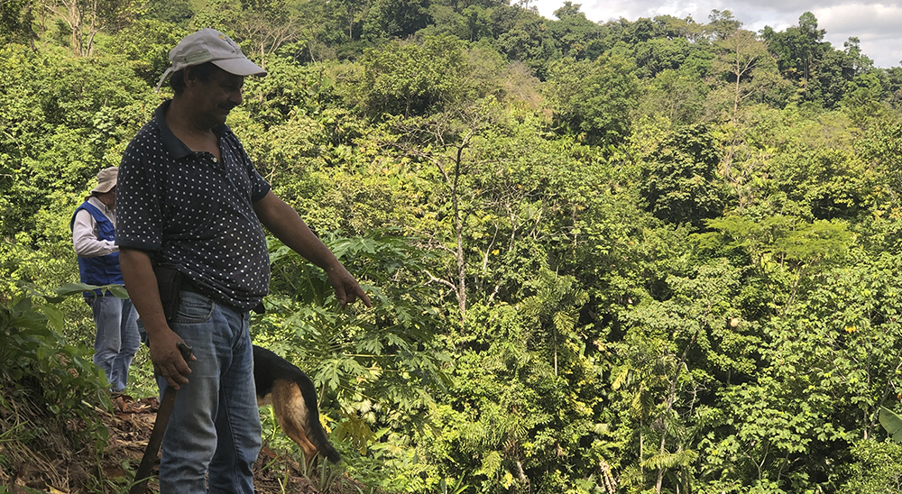 En Tolima la Unidad de Restitución de Tierras responde al 93% de las solicitudes hechas en municipios PDET