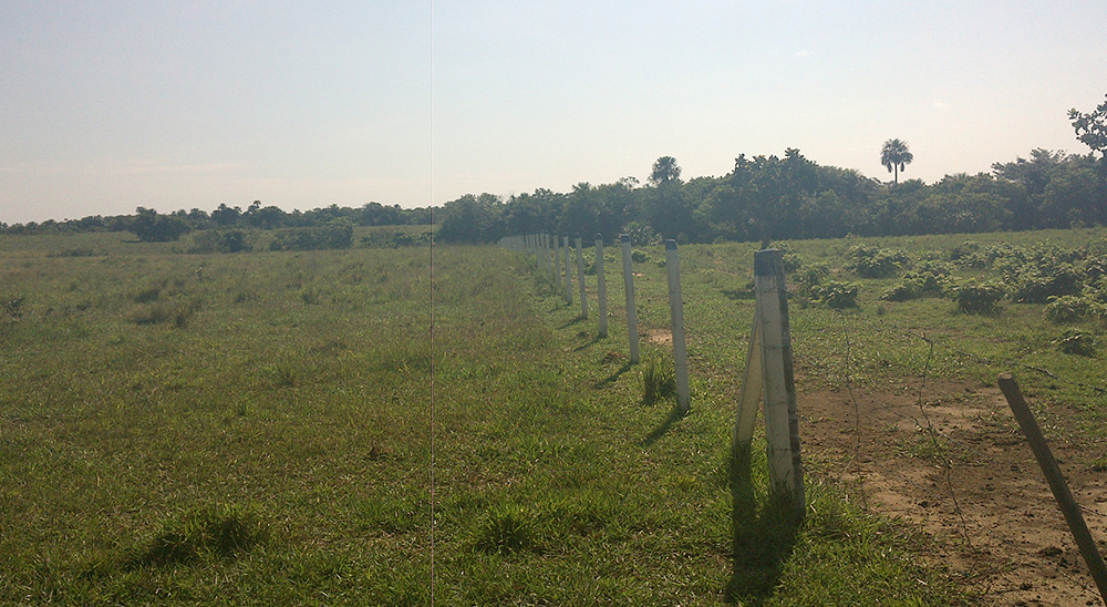 Gracias a la gestión judicial de la Unidad de Restitución de Tierras, el Juzgado Primero Civil del Circuito Especializado de Villavicencio declaró la calidad de víctimas de desplazamiento y abandono forzado a una familia que fue desplazada por las FARC y ordenó la devolución material de su predio de 58 hectáreas.     Mapiripán, 12 de febrero de 2021 (@URestitucion). Como consecuencia de las presiones y amenazas perpetradas por la guerrilla de las FARC, la familia López*    se vio obligada a abandonar el mun