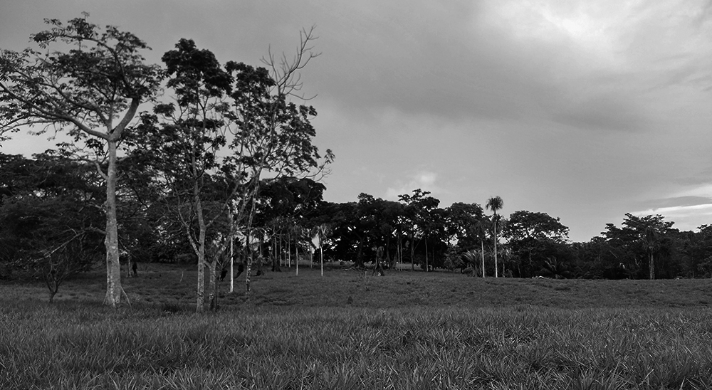 COMUNICADO A LA OPINIÓN PÚBLICA SOBRE EL ASESINATO DEL SEÑOR WILSON JESUS LÓPEZ EN EL DEPARTAMENTO DE CALDAS