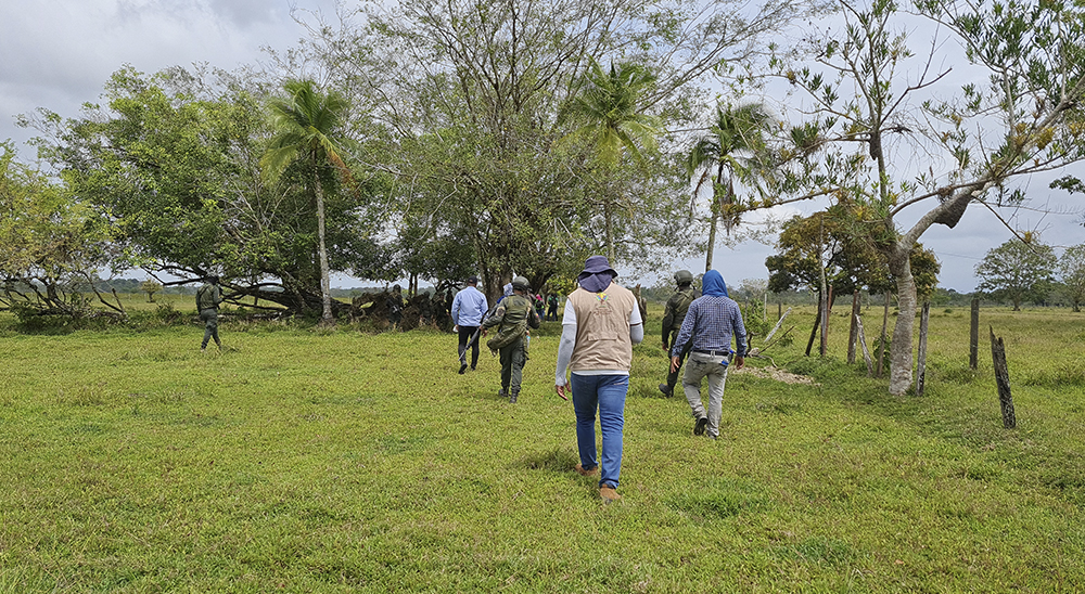 Campesino recuperó más de 14 hectáreas de tierra que los paramilitares le había quitado 