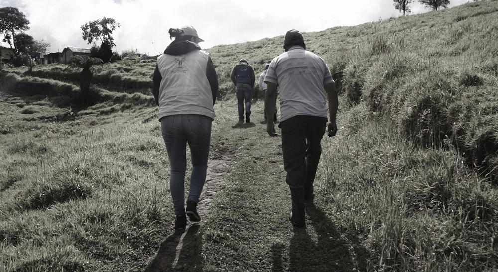 DESAPARICIÓN DE CUATRO INTEGRANTES DE LA COMISIÓN QUE SE ENCONTRABA ADELANTANDO LABORES CATASTRALES DEL PROCESO DE RESTITUCIÓN DE TIERRAS EN EL MUNICIPIO DE MESETAS, META 