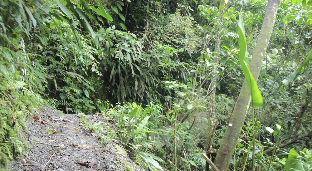 Unidad de Restitución de Tierras compensará a campesinos víctimas de la violencia en Cubarral (Meta) 