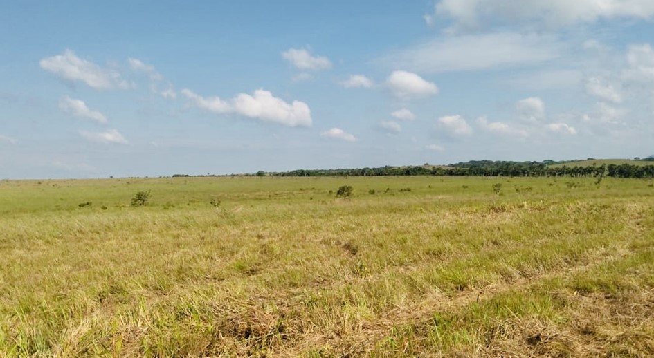 Víctimas de la guerrilla de las Farc-EP recuperan 110 hectáreas en La Macarena – Meta