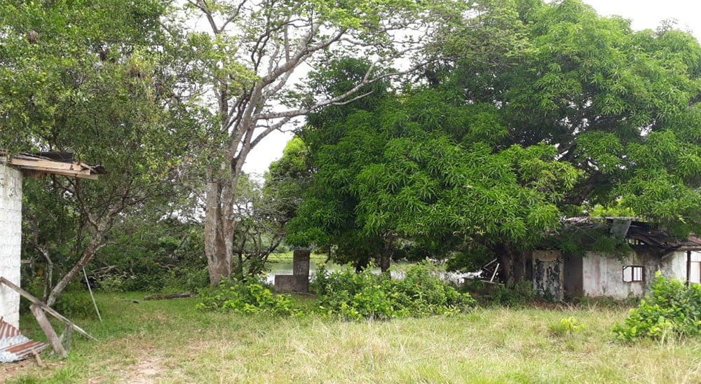 Unidad de Restitución de Tierras (URT) entregó materialmente el primer predio restituido en Puerto Parra, Santander 