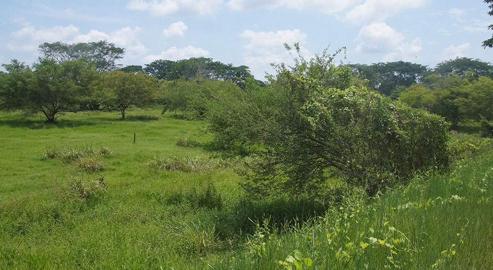 Víctima de la violencia de San Vicente de Chucurí recibirá una vivienda en Bucaramanga e iniciará una nueva vida 
