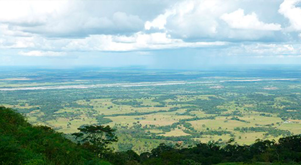 Tribunal Superior de Bogotá ordenó restituir tierras despojadas por alias Don Mario, en el municipio de El Dorado (Meta) 