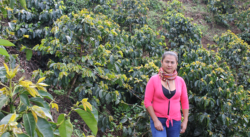 Líderes y lideresas fueron capacitados en proceso de restitución de tierras en Nariño 