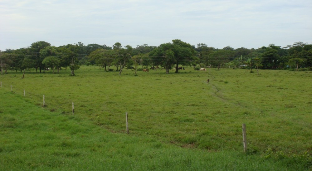  nullHabilitan a Unidad de Restitución de Tierras como gestor catastral nacional 