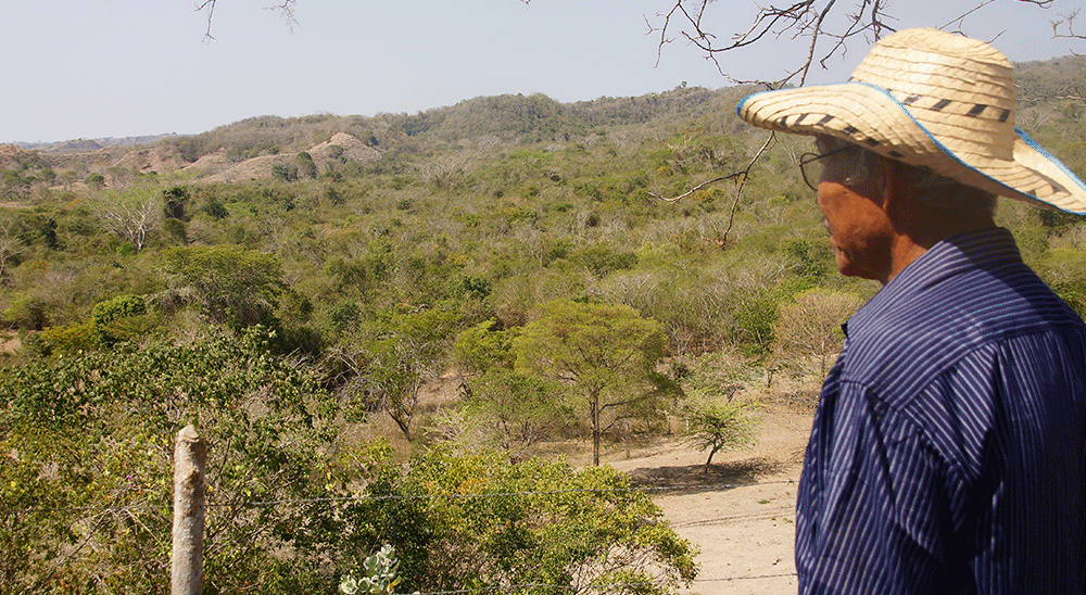  nullLa justicia compensó a reclamantes de tierras y reconoció buena fe de los opositores que las habitan, en San Jacinto (Bolívar) 