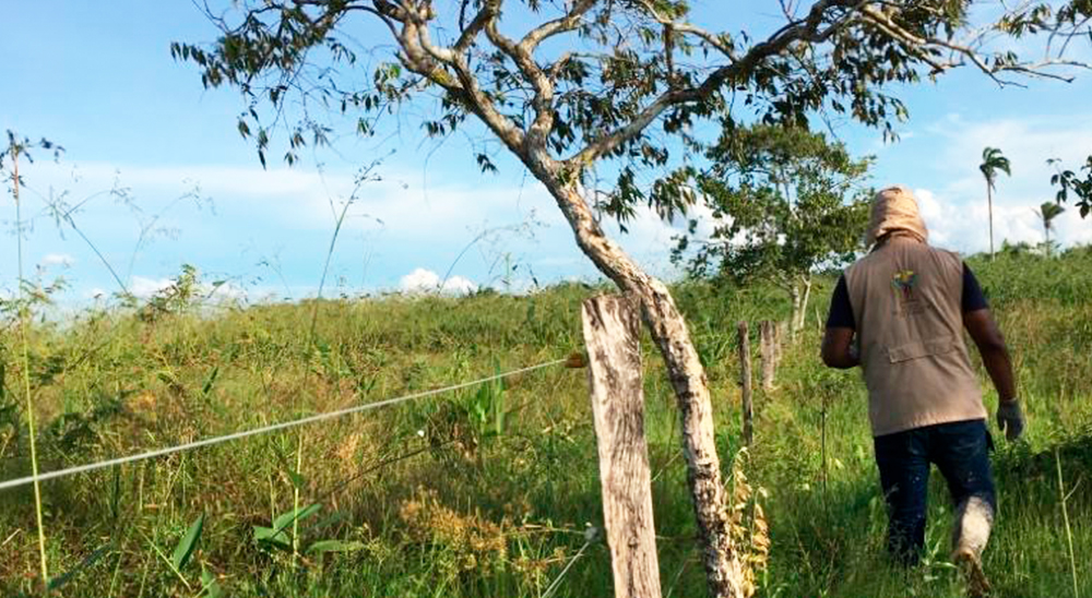Herederos de mujer asesinada por paramilitares en Paratebueno, Cundinamarca serán beneficiarios de restitución de tierras 