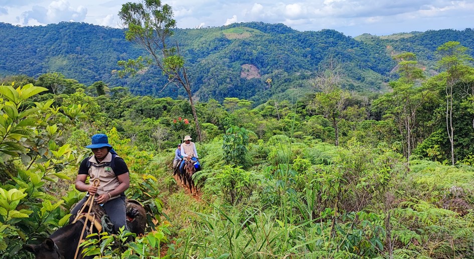 Inicia intervención piloto de restitución de tierras en La Danta, zona de protección ambiental del Parque Nacional Natural Paramillo