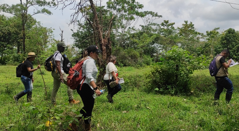 null538,3 hectáreas han sido entregadas este año en Urabá a familias por ruta individual de restitución de tierras 
