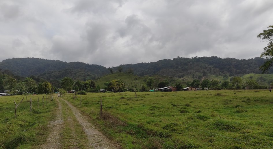 Desplazados de Mutatá recuperan más de 68 hectáreas