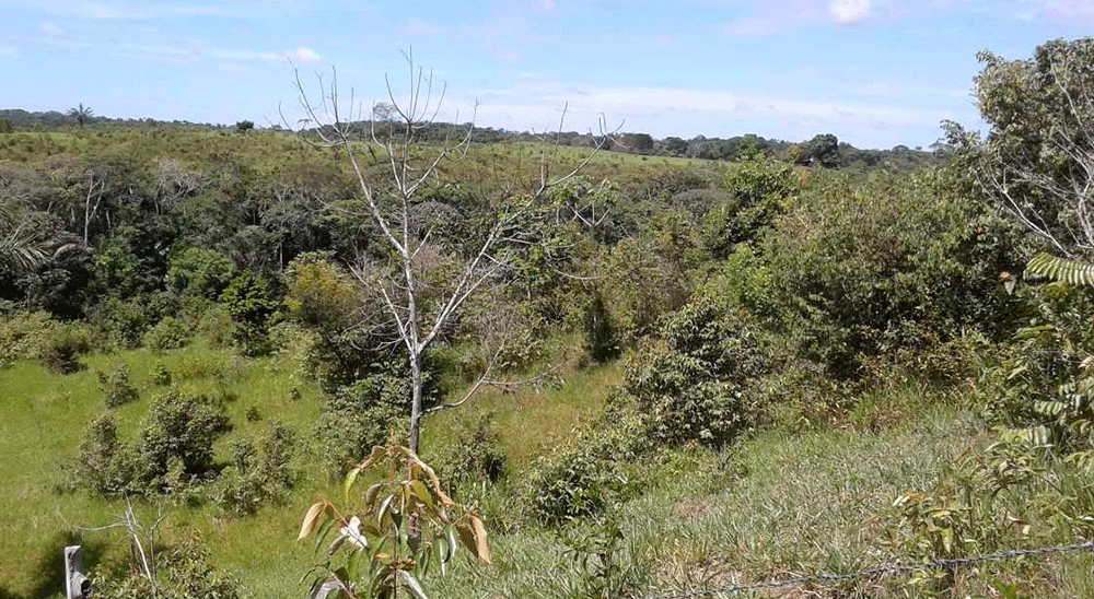 Familia víctima de abandono forzado de tierras en Mapiripán (Meta), será beneficiada con restitución por equivalencia económica 