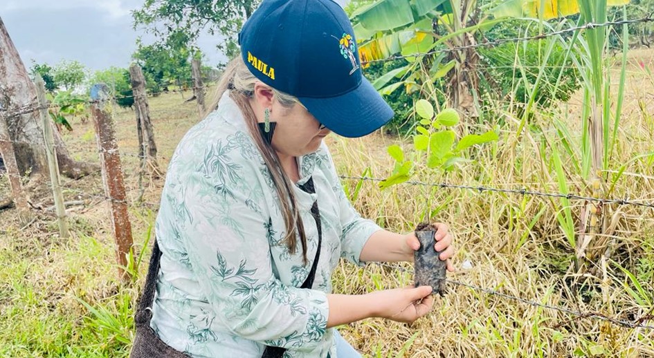 50.000 árboles se “sembrarán para armonizar la vida y la naturaleza”, en predios restituidos del Meta