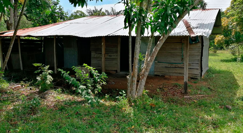 Familias campesinas de San Martín de los Llanos (Meta) retornaron a sus predios 