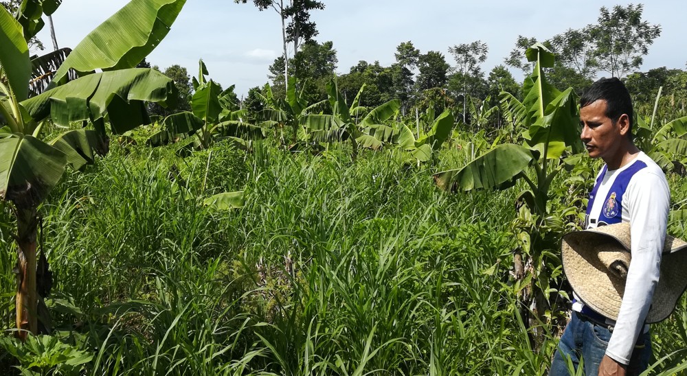 En Arauca, la Unidad de Restitución de Tierras, durante 2021 presentó 17 nuevas demandas 