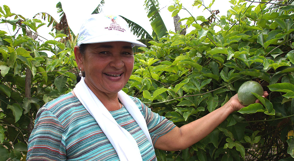 En Córdoba, la Unidad de Restitución de Tierras ha resuelto el 77% de las solicitudes recibidas 